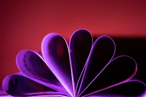 A Books pages turned in to resemble flower petals on a red background