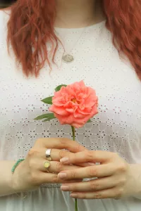 Hands Clasp Red Rose With Rings On One Hand